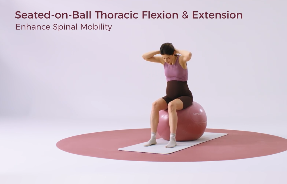 Pregnant woman on exercise ball performs seated thoracic flexion for spinal mobility