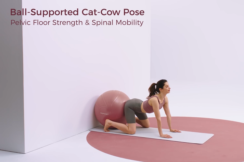 Woman performing ball-supported Cat-Cow pose for pelvic floor strength and spinal mobility
