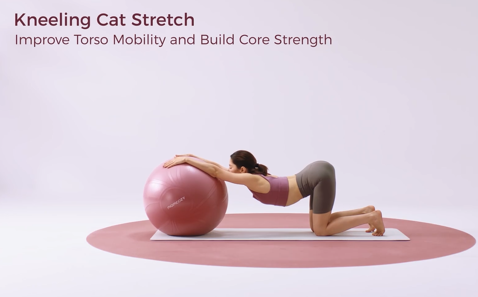 Pregnant woman doing kneeling cat stretch with stability ball for torso mobility and core strength